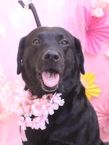 20250312フックくん